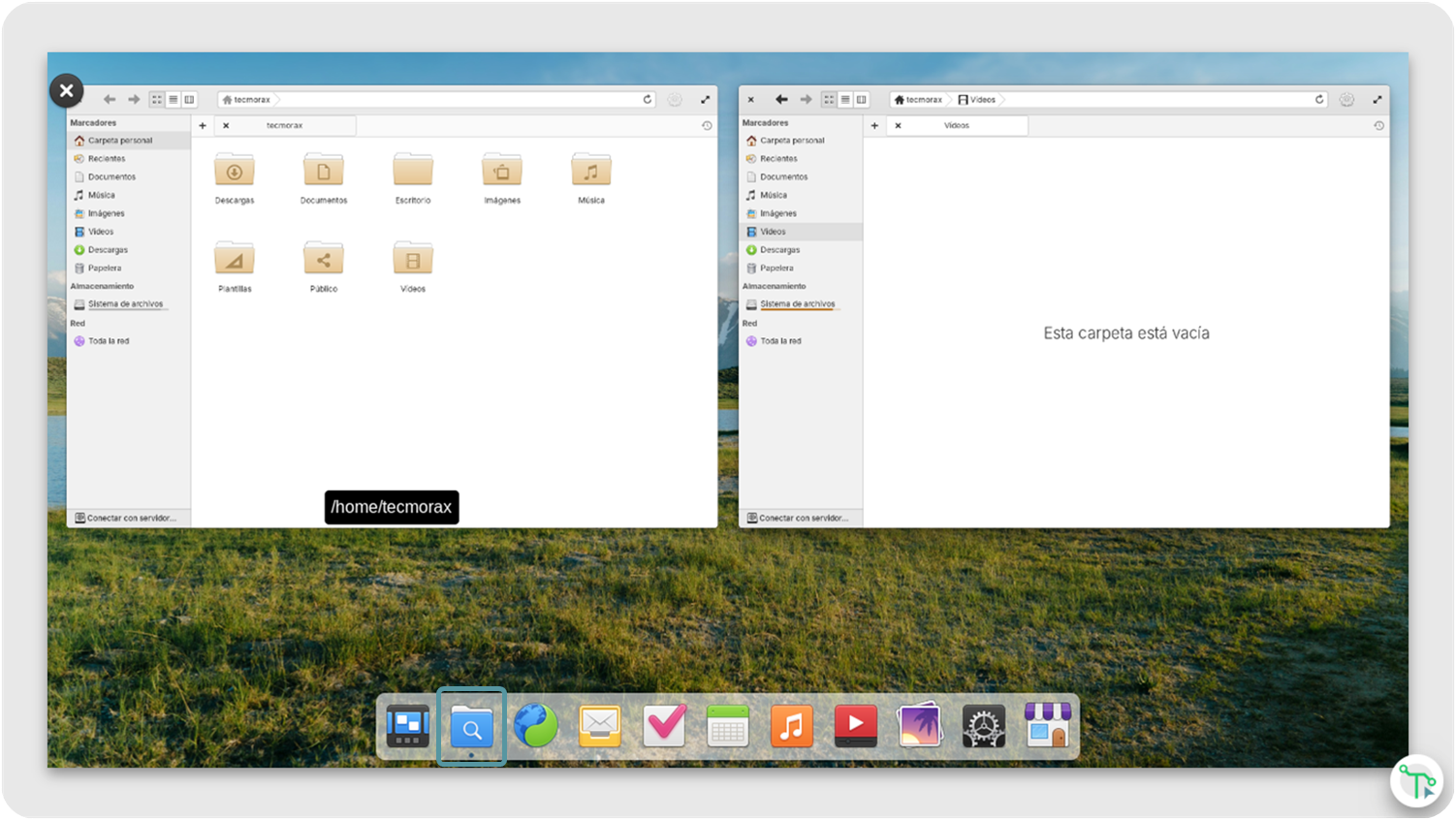 Vista agrupada de las ventanas abiertas de una aplicación.